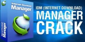 IDM Crack 6.43 Build 2 Patch+ Serial Key 100% Working Free Download Clone