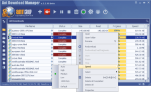 Ant Download Manager Pro 2.7.4 Crack with Serial Key Free Download